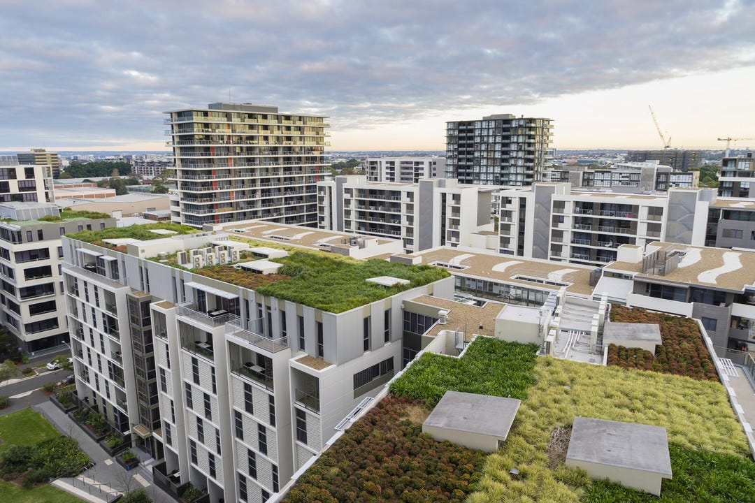 Green roofs